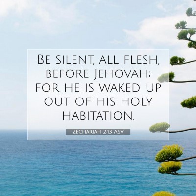 Picture 07 - Zechariah 2:13 ASV - Be silent, all flesh, before Jehovah; for he is - Bible Verse Picture