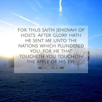 Picture 07 - Zechariah 2:8 ASV - For thus saith Jehovah of hosts: After glory hath - Bible Verse Picture