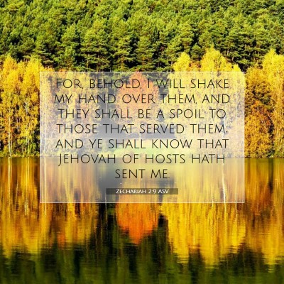 Picture 07 - Zechariah 2:9 ASV - For, behold, I will shake my hand over them, and - Bible Verse Picture