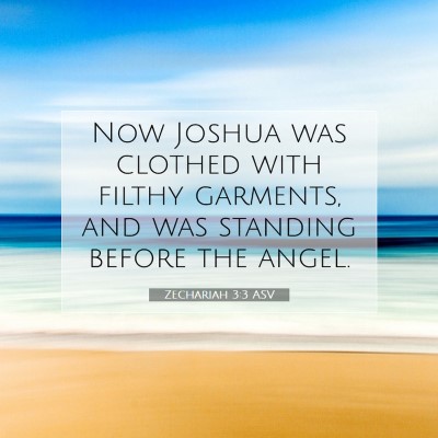 Picture 07 - Zechariah 3:3 ASV - Now Joshua was clothed with filthy garments, and - Bible Verse Picture