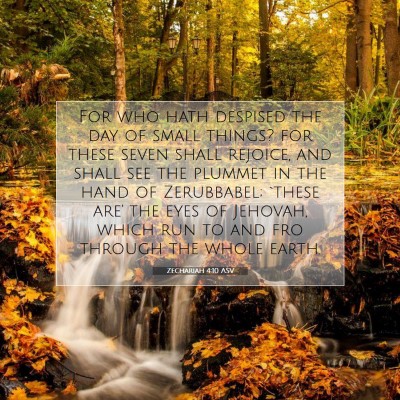 Picture 07 - Zechariah 4:10 ASV - For who hath despised the day of small things? - Bible Verse Picture