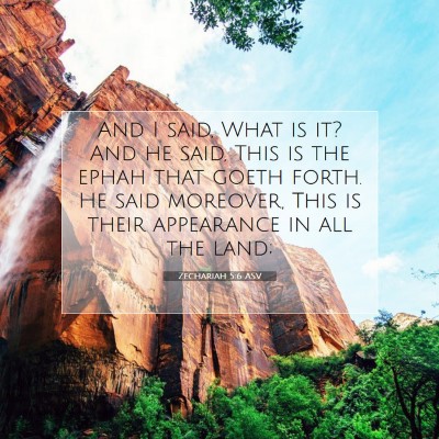 Picture 07 - Zechariah 5:6 ASV - And I said, What is it? And he said, This is the - Bible Verse Picture