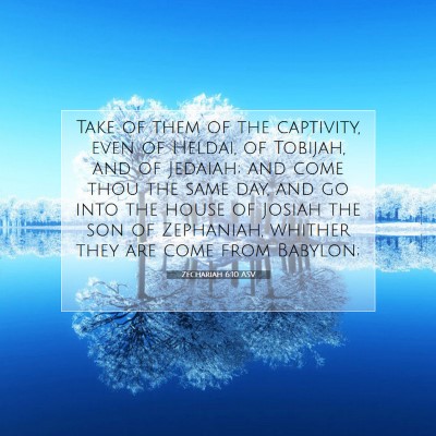 Picture 07 - Zechariah 6:10 ASV - Take of them of the captivity, even of Heldai, of - Bible Verse Picture