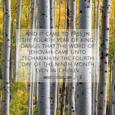 Picture 07 - Zechariah 7:1 ASV - And it came to pass in the fourth year of king - Bible Verse Picture