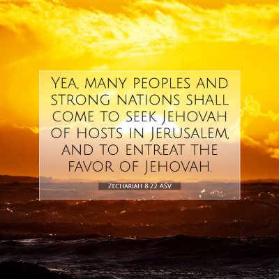 Picture 07 - Zechariah 8:22 ASV - Yea, many peoples and strong nations shall come - Bible Verse Picture