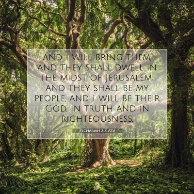 Picture 07 - Zechariah 8:8 ASV - and I will bring them, and they shall dwell in - Bible Verse Picture