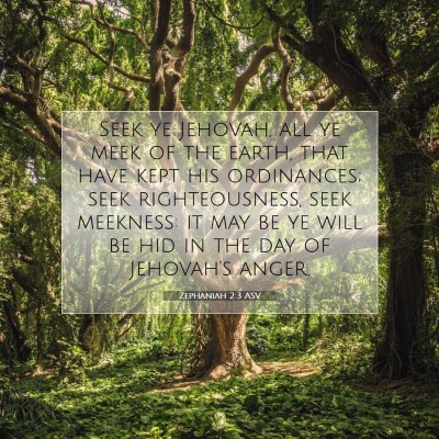 Picture 07 - Zephaniah 2:3 ASV - Seek ye Jehovah, all ye meek of the earth, that - Bible Verse Picture