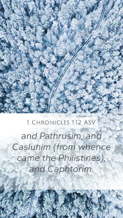 1 Chronicles 1:12 ASV Bible Verse Image