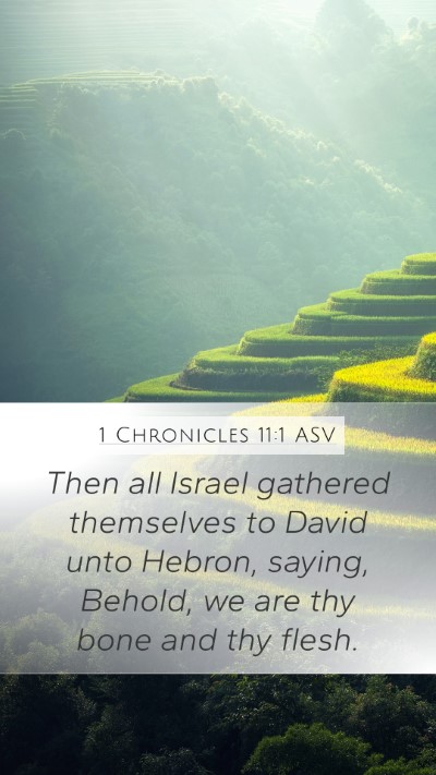 1 Chronicles 11:1 ASV Bible Verse Image