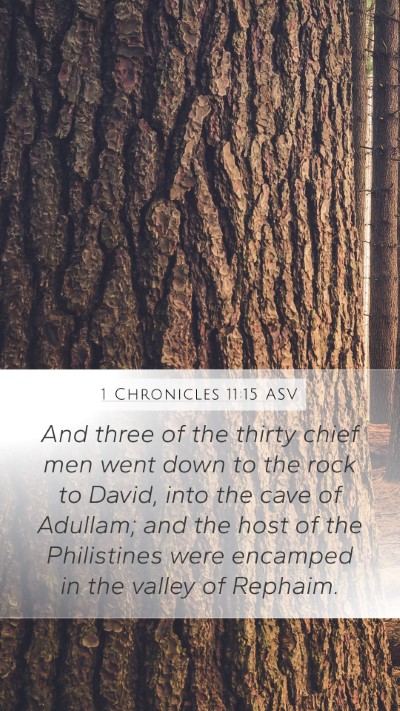1 Chronicles 11:15 ASV Bible Verse Image