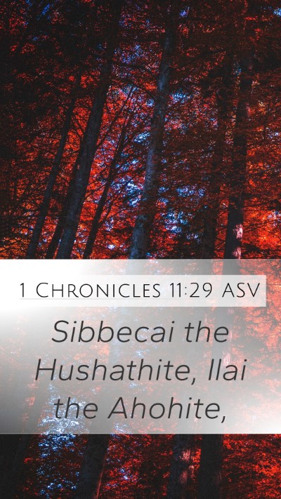 1 Chronicles 11:29 ASV Bible Verse Image