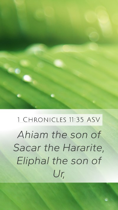 1 Chronicles 11:35 ASV Mobile Phone Wallpaper - Ahiam the son of Sacar the Hararite, Eliphal the - Mobile Bible Verse Wallpaper