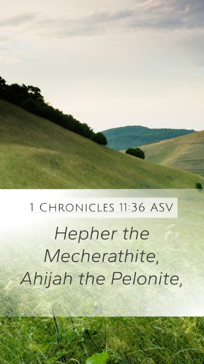 1 Chronicles 11:36 ASV Mobile Phone Wallpaper - Hepher the Mecherathite, Ahijah the - Mobile Bible Verse Wallpaper