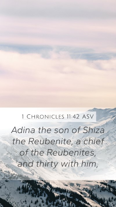 1 Chronicles 11:42 ASV Mobile Phone Wallpaper - Adina the son of Shiza the Reubenite, a chief of - Mobile Bible Verse Wallpaper