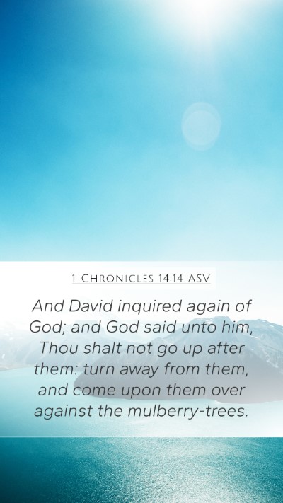 1 Chronicles 14:14 ASV Bible Verse Image