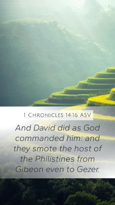 1 Chronicles 14:16 ASV Mobile Phone Wallpaper - And David did as God commanded him: and they - Mobile Bible Verse Wallpaper