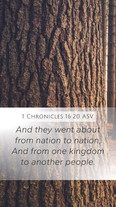 1 Chronicles 16:20 ASV Bible Verse Image