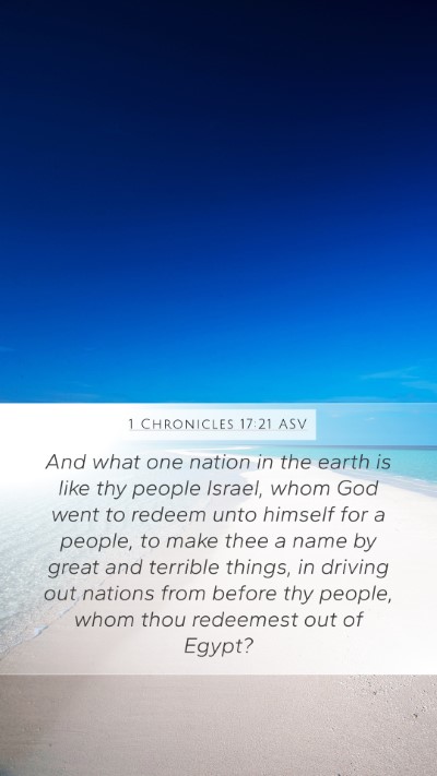 1 Chronicles 17:21 ASV Bible Verse Image