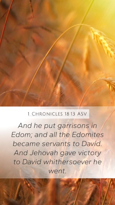 1 Chronicles 18:13 ASV Bible Verse Image