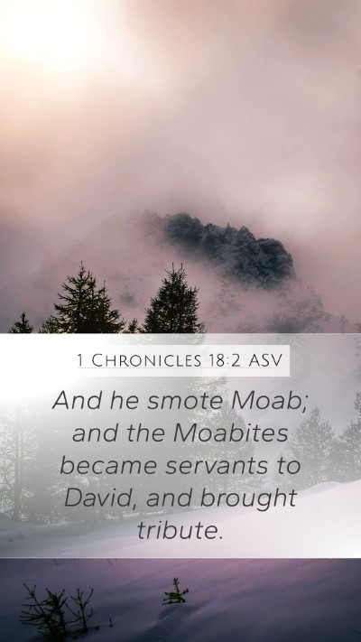 1 Chronicles 18:2 ASV Bible Verse Image