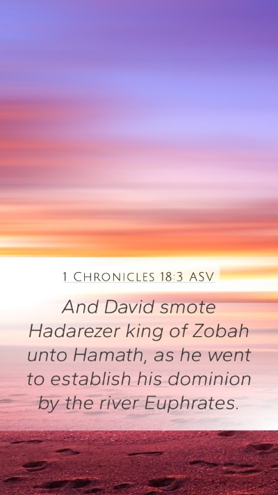 1 Chronicles 18:3 ASV Bible Verse Image