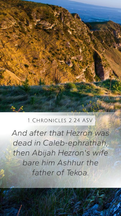 1 Chronicles 2:24 ASV Bible Verse Image