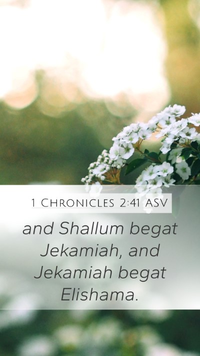 1 Chronicles 2:41 ASV Mobile Phone Wallpaper - and Shallum begat Jekamiah, and Jekamiah begat - Mobile Bible Verse Wallpaper