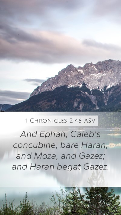 1 Chronicles 2:46 ASV Bible Verse Image