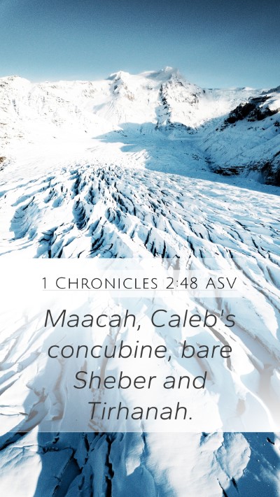 1 Chronicles 2:48 ASV Mobile Phone Wallpaper - Maacah, Caleb's concubine, bare Sheber and - Mobile Bible Verse Wallpaper