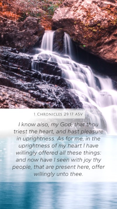 1 Chronicles 29:17 ASV Bible Verse Image