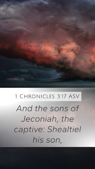 1 Chronicles 3:17 ASV Bible Verse Image
