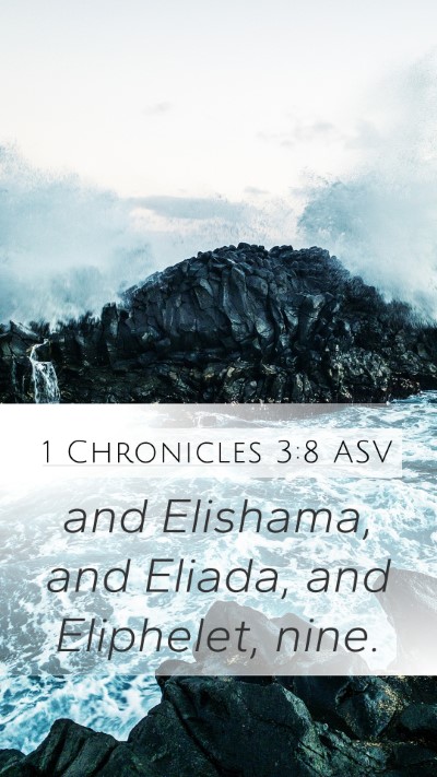 1 Chronicles 3:8 ASV Bible Verse Image