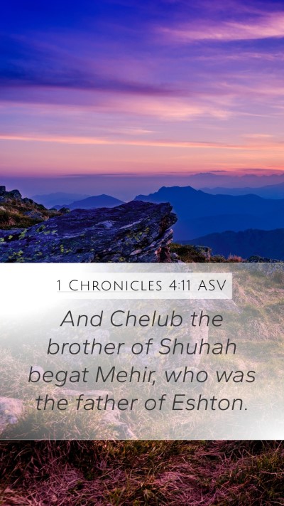1 Chronicles 4:11 ASV Mobile Phone Wallpaper - And Chelub the brother of Shuhah begat Mehir, who - Mobile Bible Verse Wallpaper