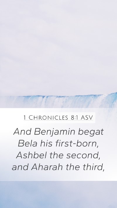 1 Chronicles 8:1 ASV Bible Verse Image