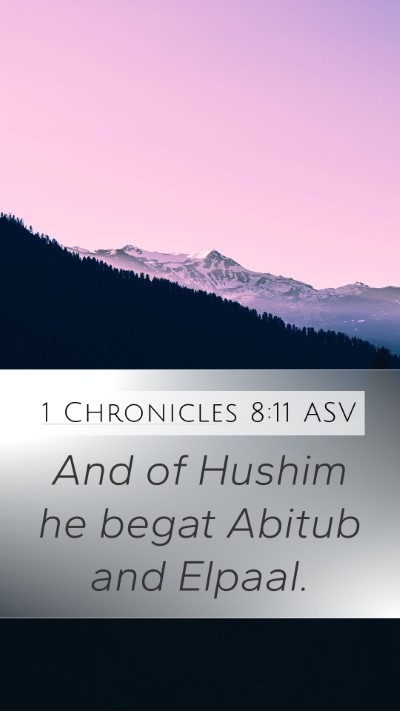 1 Chronicles 8:11 ASV Mobile Phone Wallpaper - And of Hushim he begat Abitub and - Mobile Bible Verse Wallpaper