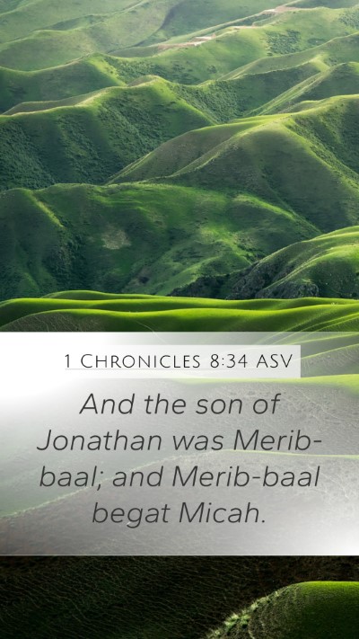 1 Chronicles 8:34 ASV Bible Verse Image