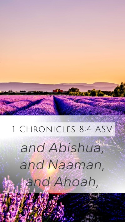 1 Chronicles 8:4 ASV Bible Verse Image
