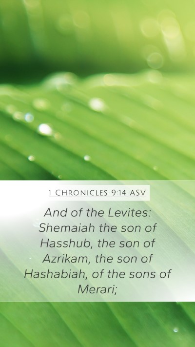 1 Chronicles 9:14 ASV Bible Verse Image