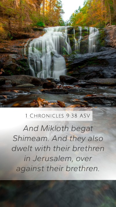 1 Chronicles 9:38 ASV Bible Verse Image