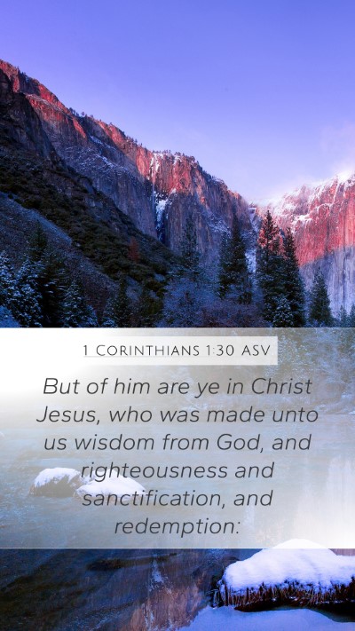 1 Corinthians 1:30 ASV Bible Verse Image
