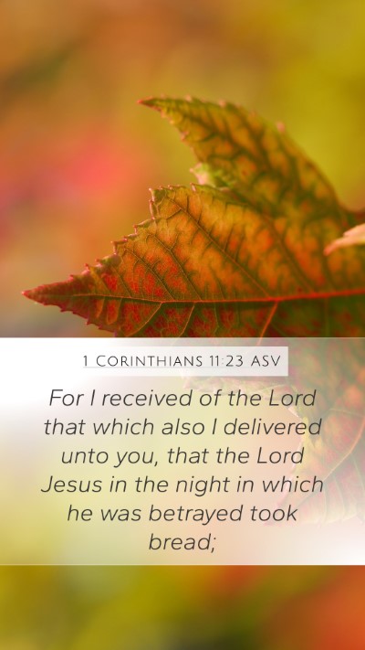 1 Corinthians 11:23 ASV Bible Verse Image
