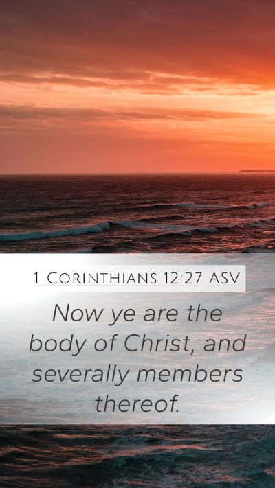 1 Corinthians 12:27 ASV Bible Verse Image
