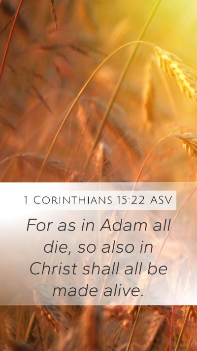 1 Corinthians 15:22 ASV Bible Verse Image