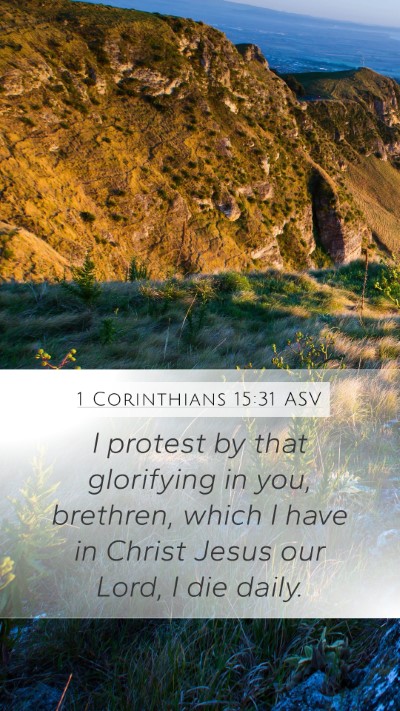1 Corinthians 15:31 ASV Bible Verse Image