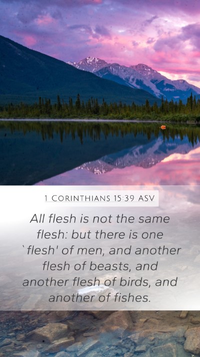 1 Corinthians 15:39 ASV Bible Verse Image
