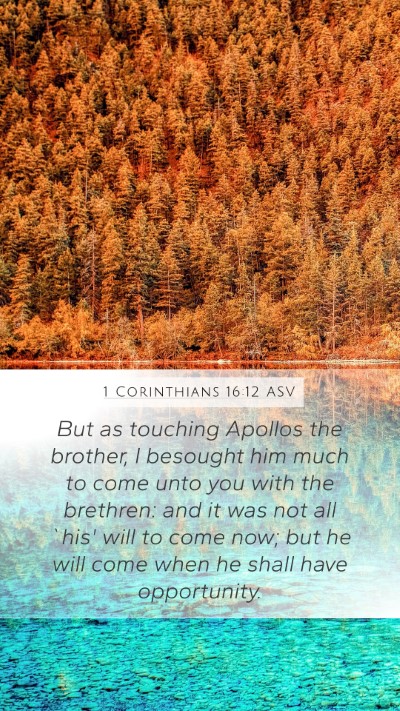 1 Corinthians 16:12 ASV Bible Verse Image