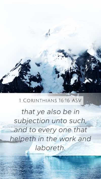 1 Corinthians 16:16 ASV Mobile Phone Wallpaper - that ye also be in subjection unto such, and to - Mobile Bible Verse Wallpaper