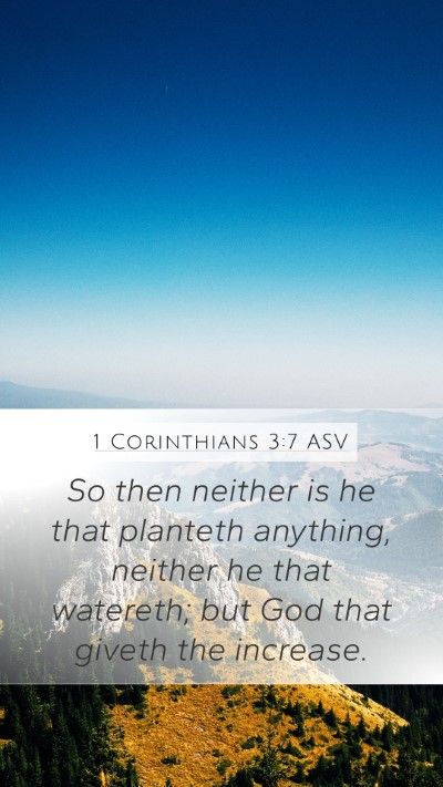 1 Corinthians 3:7 ASV Bible Verse Image