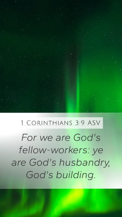 1 Corinthians 3:9 ASV Bible Verse Image