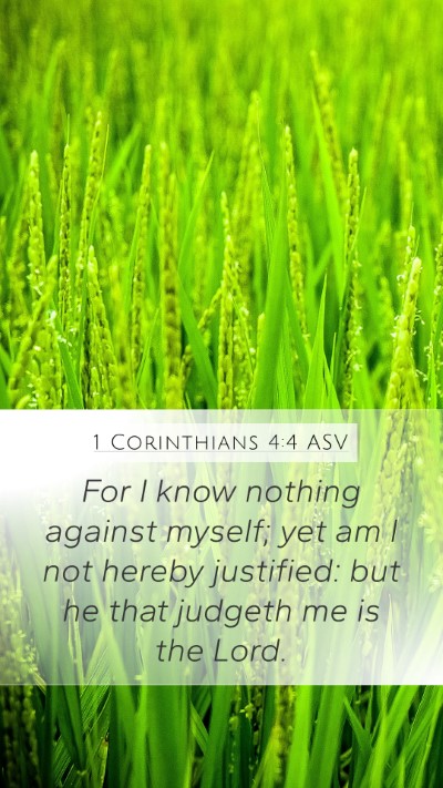 1 Corinthians 4:4 ASV Bible Verse Image